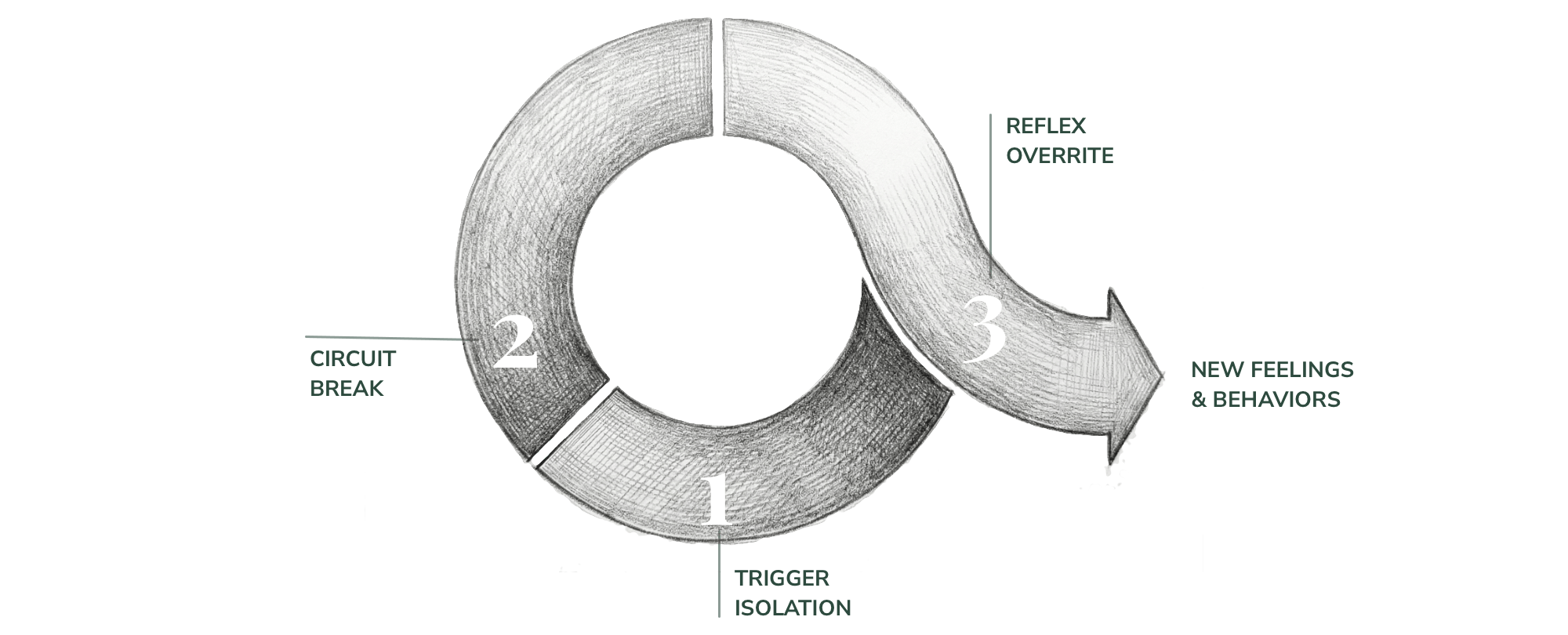 The Therapy Process Diagram